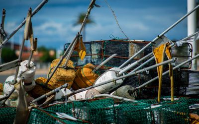 ARTES SOSTENIBLES DE PESCA TRADICIONAL