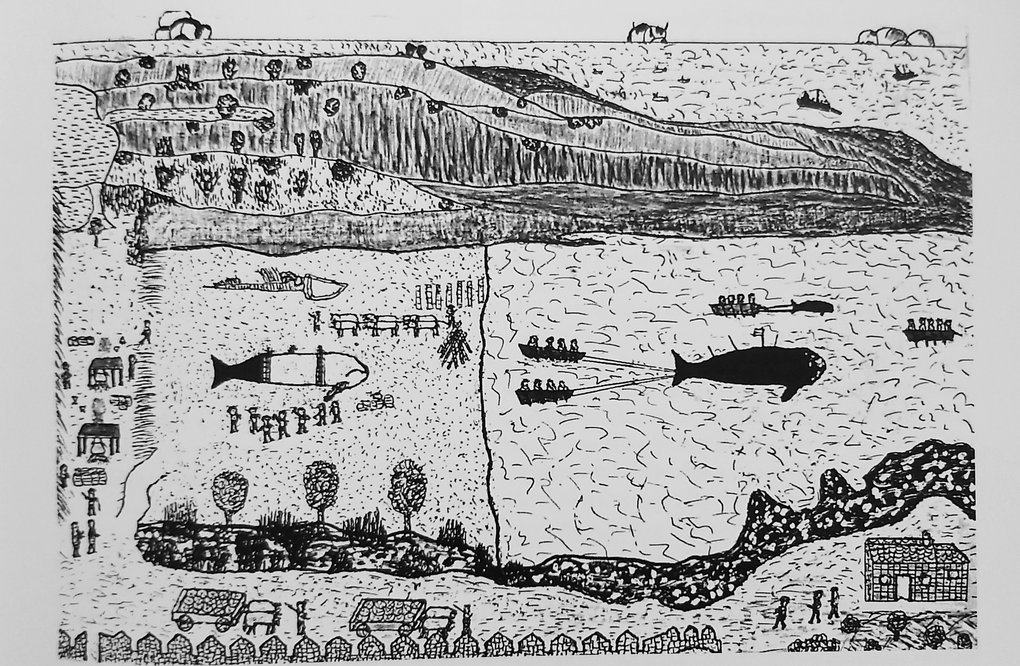 rsz_despiece_de_la_ballena