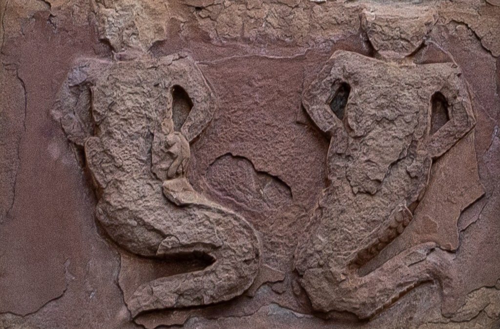 DE SIRENAS Y HOMBRE-PEZ