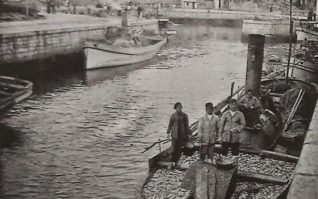 SARDINAS, BOCARTES Y UN REMOJÓN
