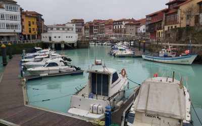La «Eutrofización» un problema que está afectando a todos los llaniscos