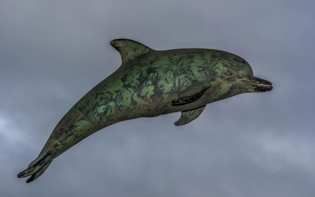 PESCANDO EN COLABORACIÓN CON LOS DELFINES