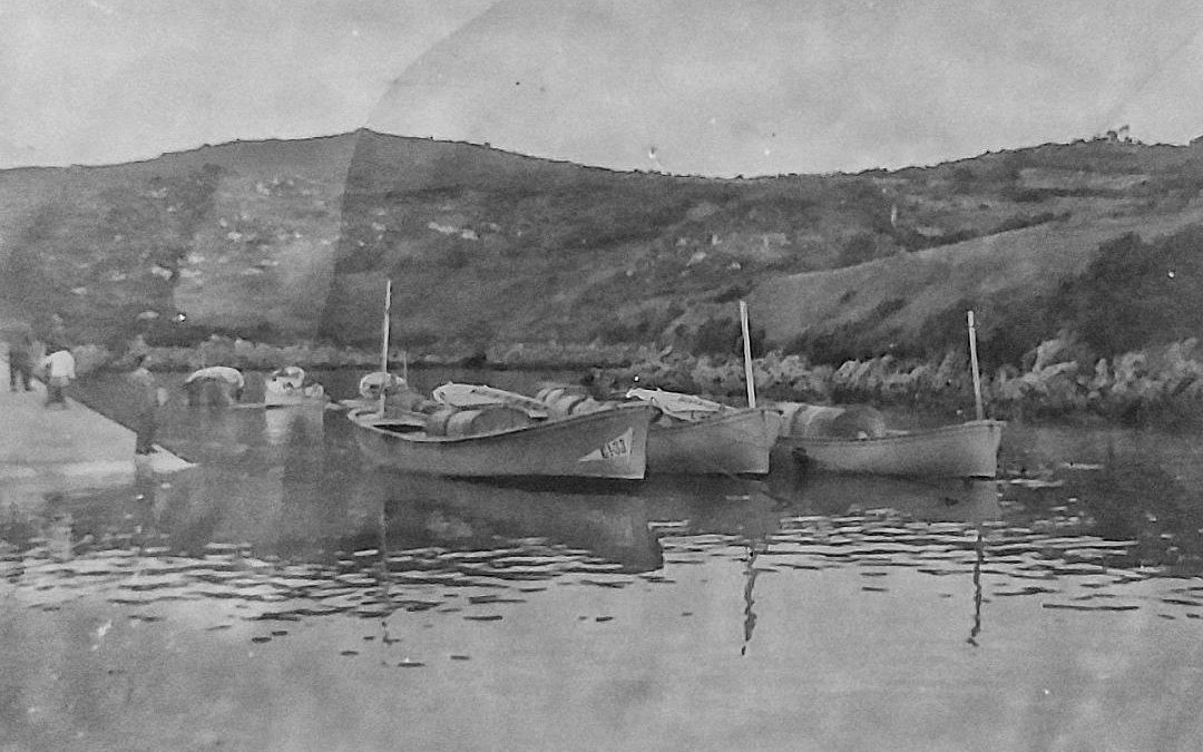LA IMPORTANCIA DEL PUERTO DE NIEMBRO