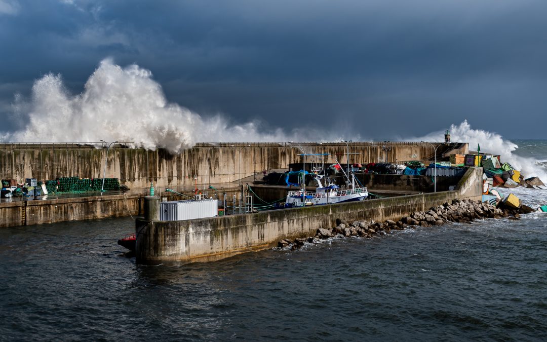TRAGEDIA EN EL DÍA DE REYES