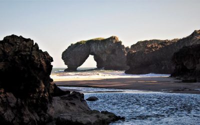 EXPORTANDO CÍTRICOS
