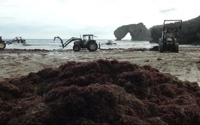 ¡Cuántas patatas, ajos, tomates, lechugas, fresas y cebollas se habrán desarrollado gracias al medio marino!