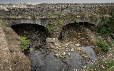 EL PUENTE CAGALÍN