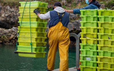 LA PESCA ARTESANAL SE ASFIXIA