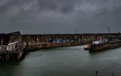 UN PUERTO CON LA MAR DE PROYECTOS DE OBRAS