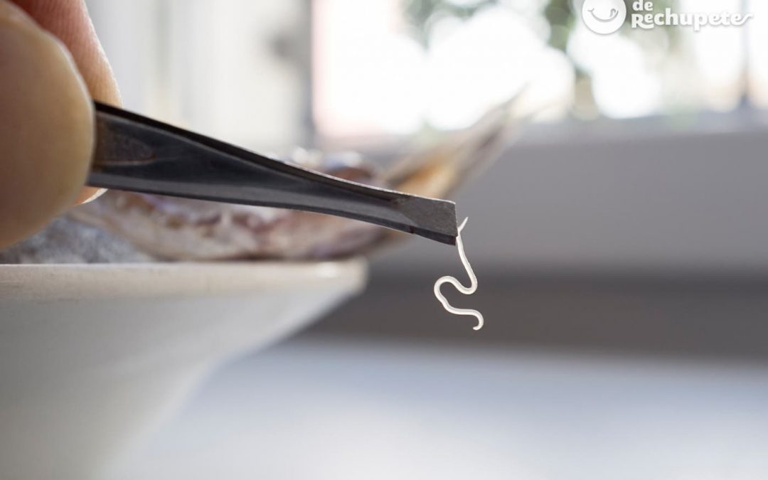 ¿Por qué la ciguatera no es el nuevo anisakis? ¿En qué se diferencian?