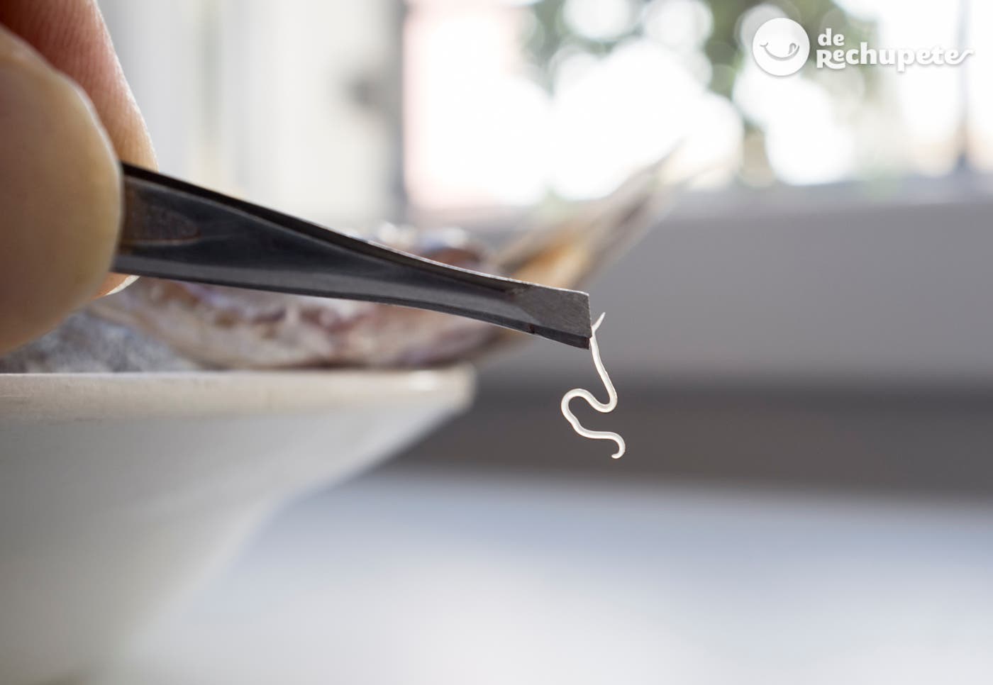 Estrallendo un anisaki