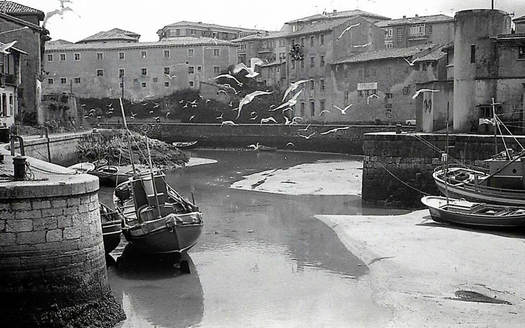 UNA FOCA EN LA RÍA | AÑO 1960