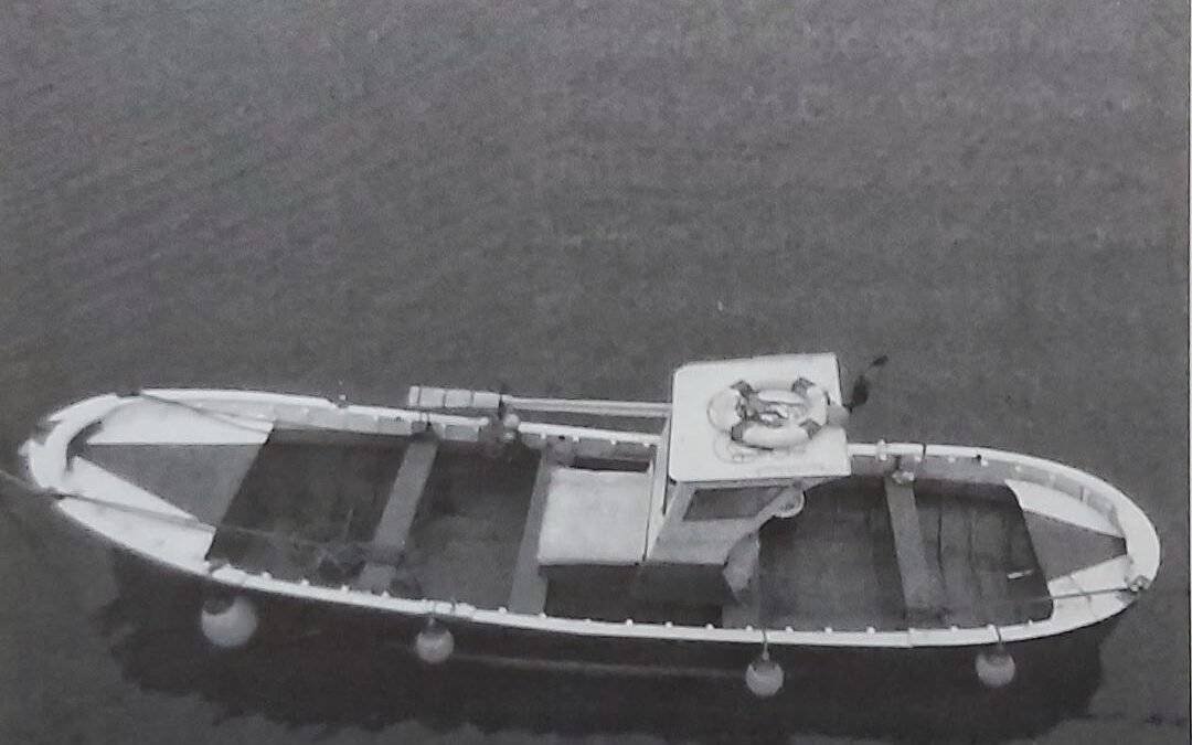 LA GALERNA DE 1961 EN NIEMBRO