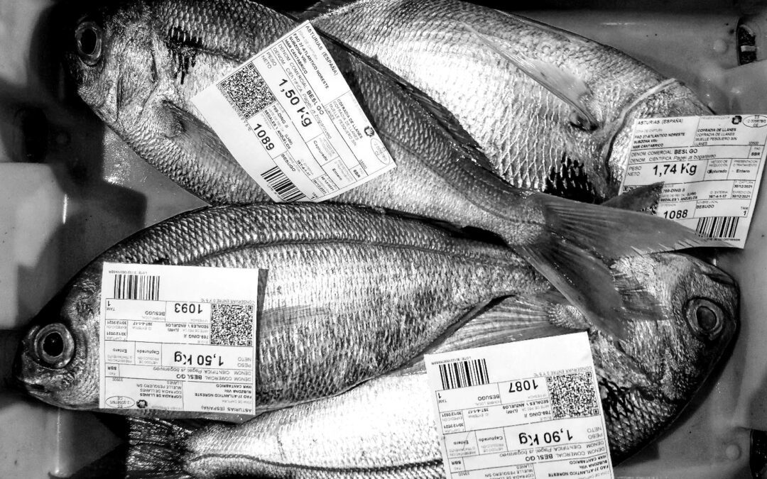 HACE MEDIO SIGLO, UN BESUGO ETIQUETADO | AÑO 1972