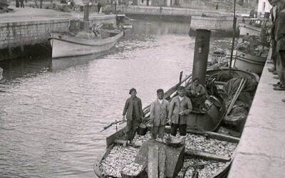 LA IMPORTANCIA DEL BOCARTE EN LLANES
