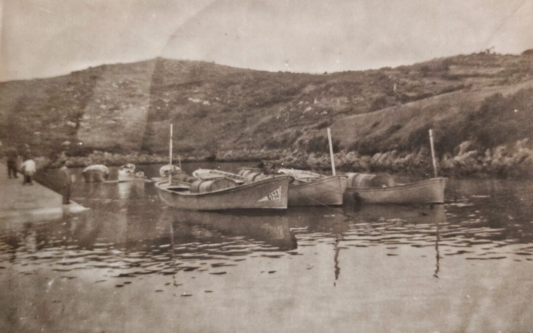 LA CATEGORÍA DEL PUERTO DE NIEMBRO