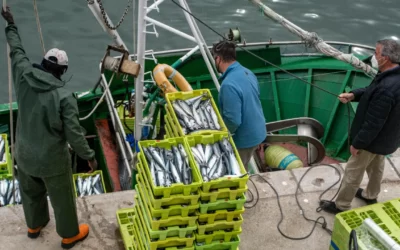 LA MAR COMO LA DESPENSA DEL FUTURO
