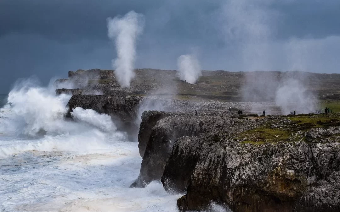 LOS BUFONES DE PRÍA PODRÍAN SER DECLARADOS MONUMENTO NATURAL | AÑO 2002