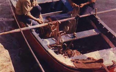 PESCADORES