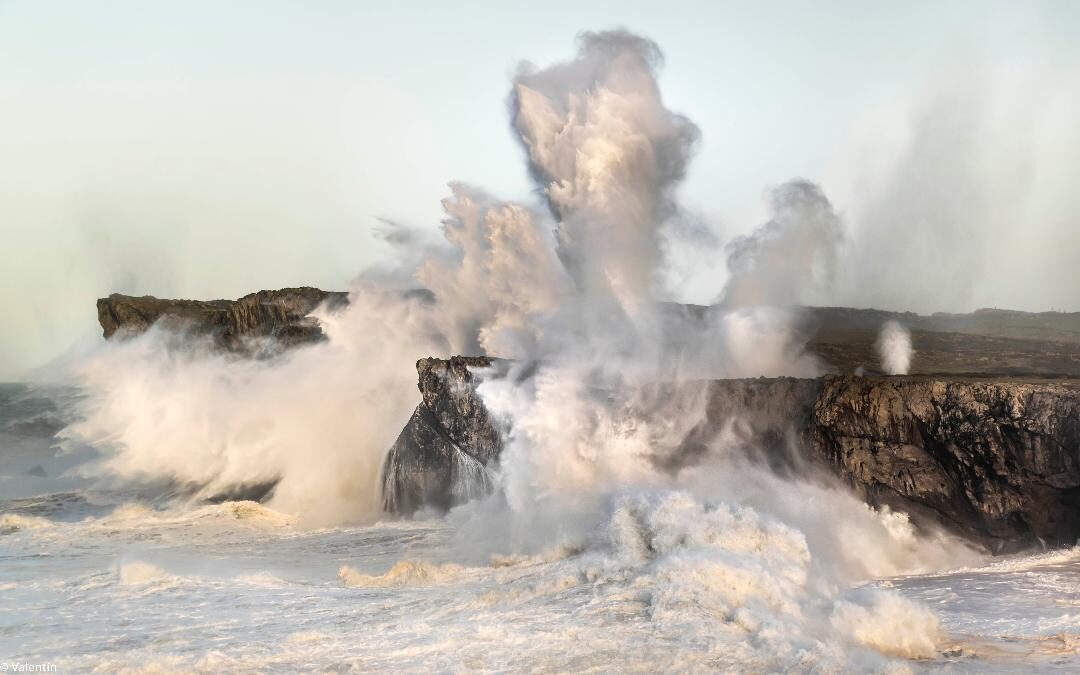 NEPTUNO Y LOS BUFONES