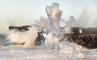 NEPTUNO Y LOS BUFONES
