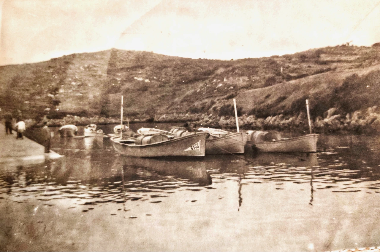 puerto de niembro(1)