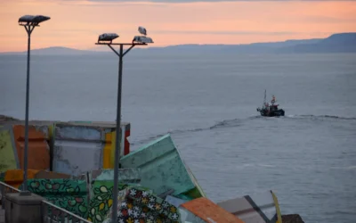¿TÚ QUE DICES EL MAR O LA MAR?