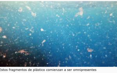 ¡CONCHO CON EL PLÁSTICO!