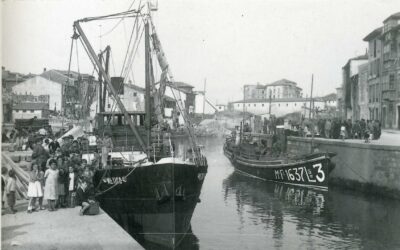 CUANDO TODAS LAS MERCANCÍAS ENTRABAN POR MAR | AÑO 1901