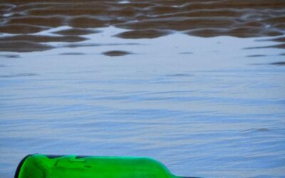 ¿POR QUÉ SE SIGUEN LANZANDO MENSAJES EN BOTELLAS AL MAR?