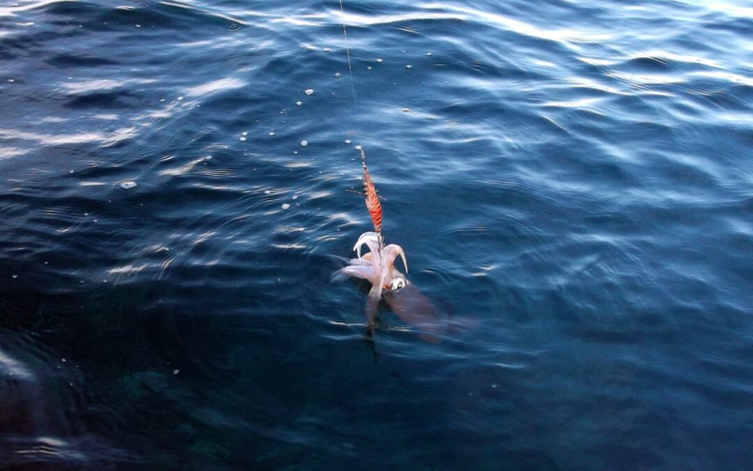 LA OBSESIÓN DEL VERANO