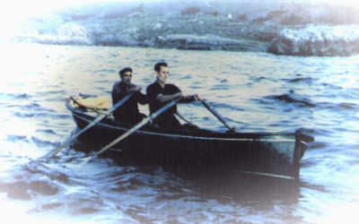 EL TALENTO DE LAS FOCAS PARA ESCAPAR | AÑO 1960
