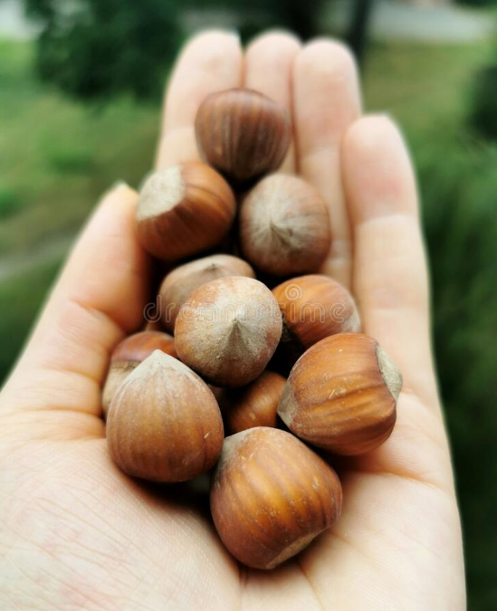 El… ¿Me perdonas?