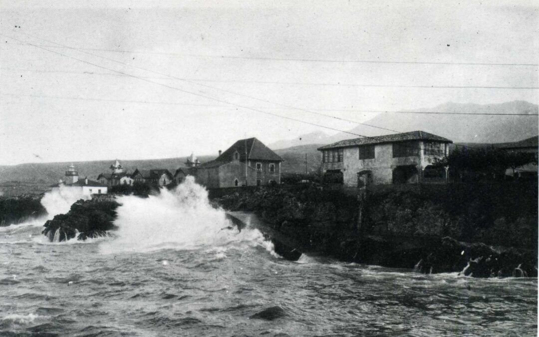 SIEMPRE ABOGANDO POR UN MUELLE DE ABRIGO | AÑO 1924