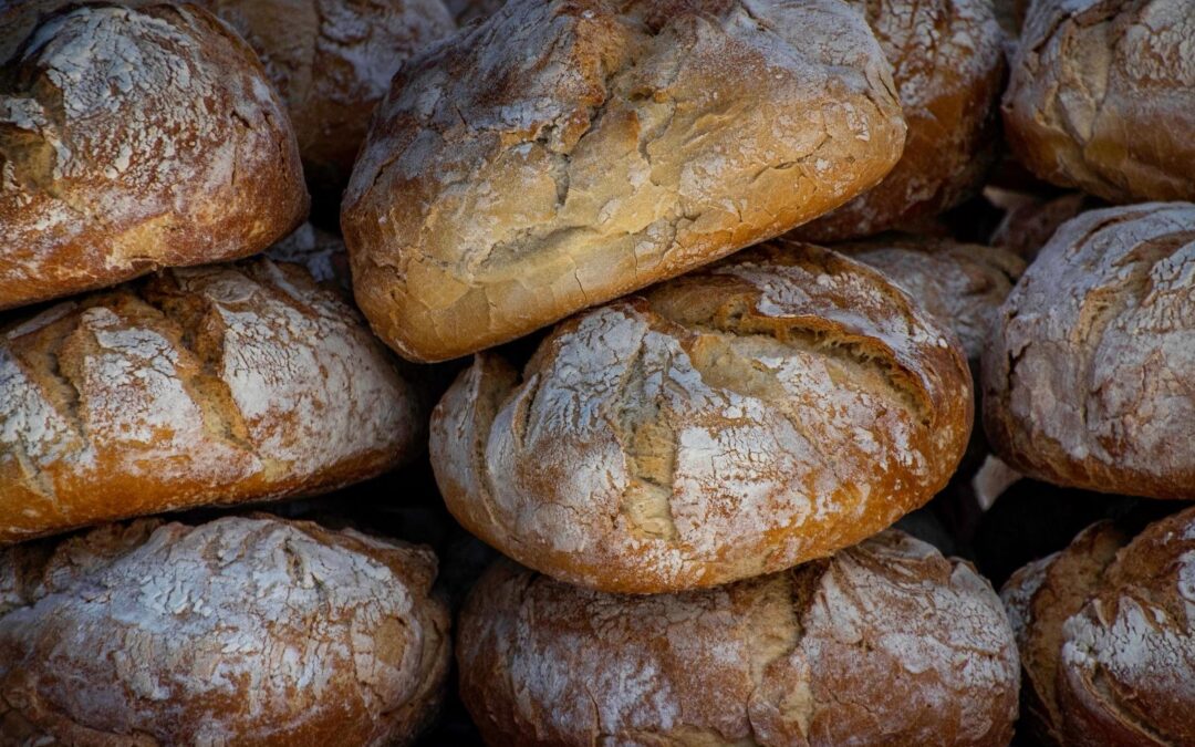 PLEITOS POR EL PAN