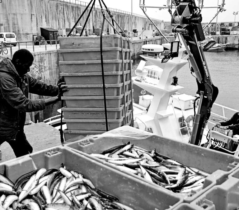 EL PRECIO DEL BOCARTE SE DISPARA HASTA LAS MIL PESETAS EL KILOGRAMO | AÑO 1998
