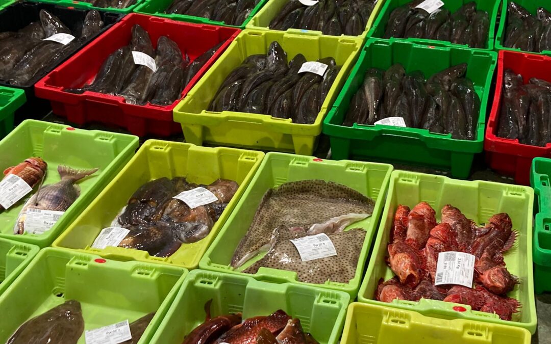 EN 1997, LOS ASTURIANOS Y GALLEGOS LOS MAYORES CONSUMIDORES DE PESCADO