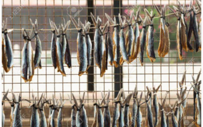 CONSERVADO DEL PESCADO