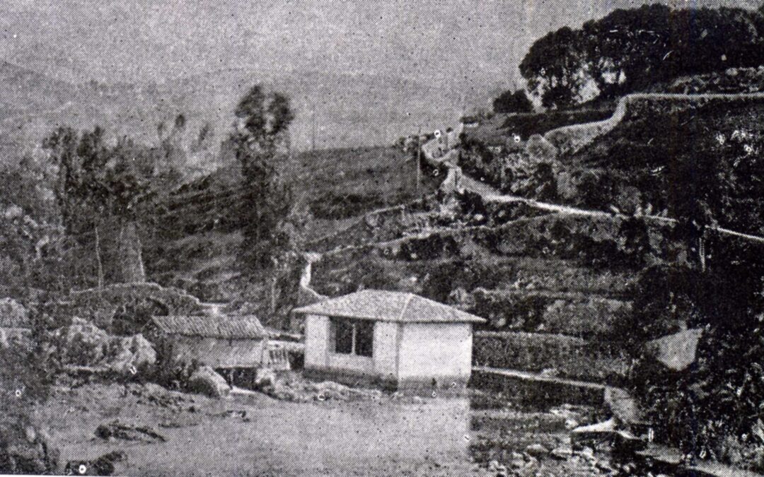 ETIMOLOGÍA DE CARROCEDO.