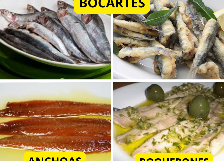 Bocartes, anchoas y boquerones