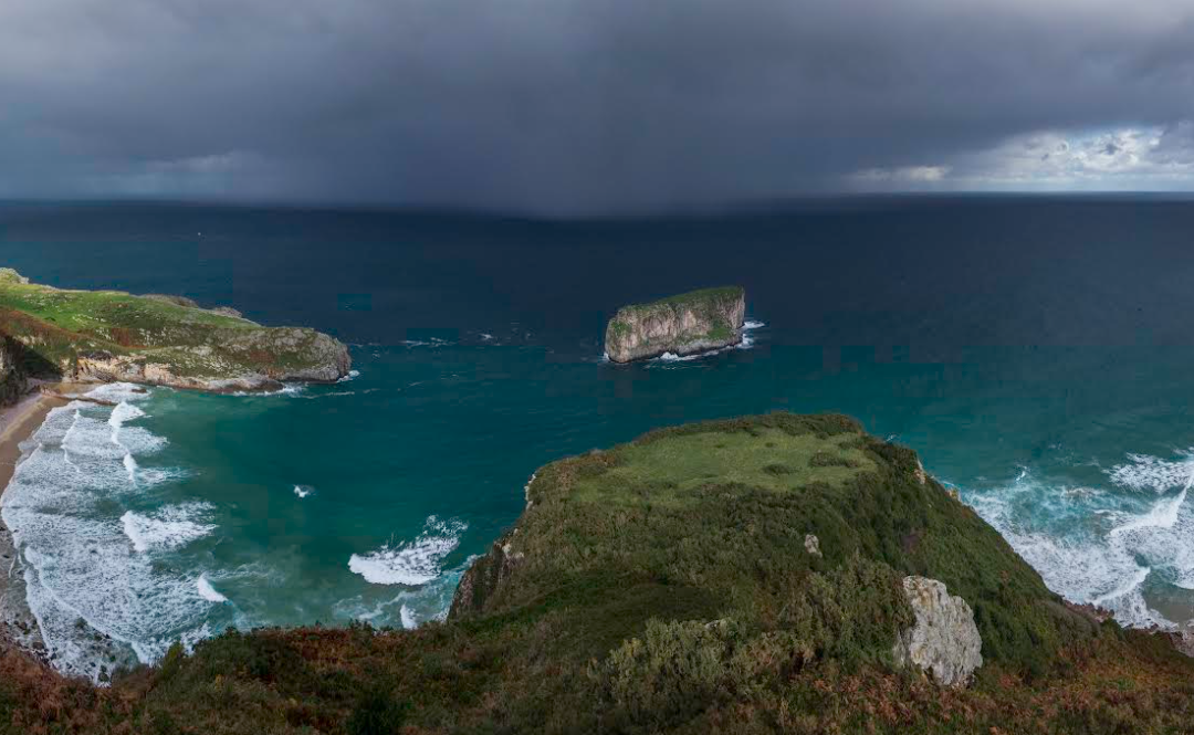 ¿CUÁL ES LA BRAVA Y CUÁL LA MANSA?