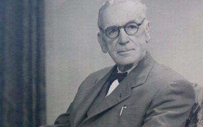 TORRERO Y PINTOR