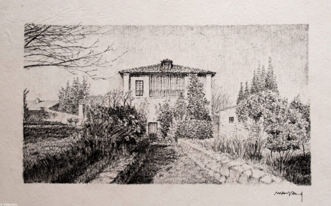 LA CASA DE AMELIA  | LA FORTUNA QUE VINO DEL MAR