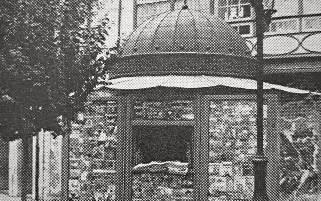 EL KIOSKO DE COSMÍN