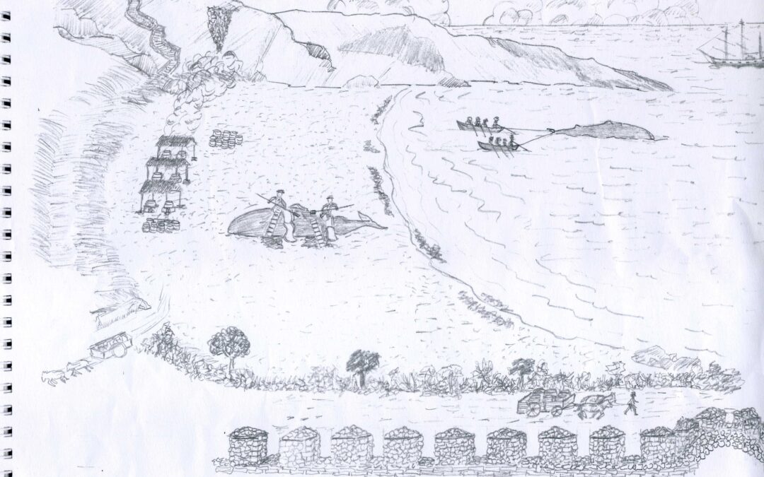 LLANES. UNA VOCACIÓN PESQUERA