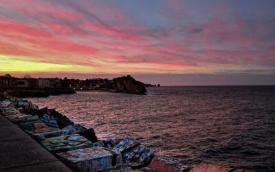 HISTORIAS Y FANTASÍAS DESDE LA BARRA