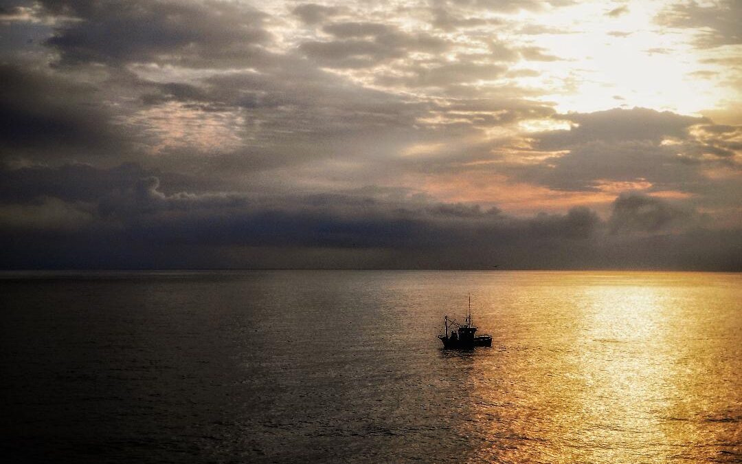 MARINERA POR UN DÍA