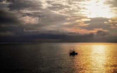 MARINERA POR UN DÍA