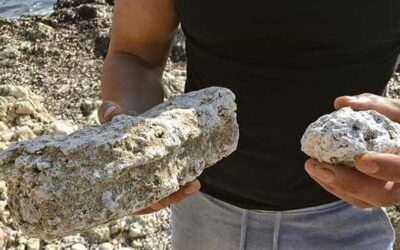 «Quién sabe, quizás la próxima vez que pasees por la playa, encuentres este millonario tesoro marino que te cambie la vida. ¡Abre bien los ojos y busca!