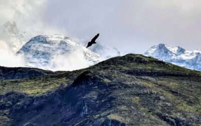 DESDE EL ALTO DEL TORNO